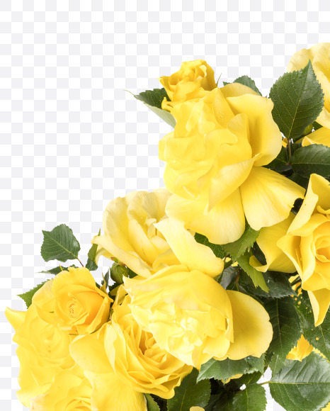 Letter A from Yellow roses alphabet on Yellow Images Creative Fonts - S81185