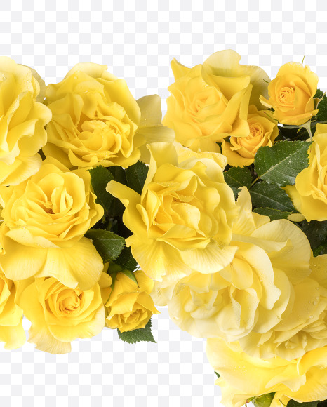 7 from Yellow roses alphabet on Yellow Images Creative Fonts - S81218