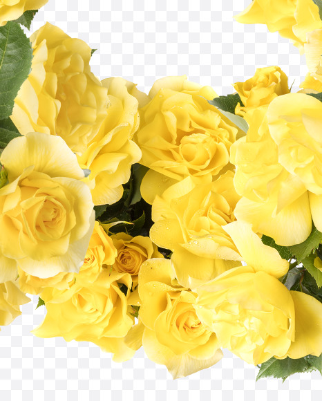 8 from Yellow roses alphabet on Yellow Images Creative Fonts - S81219