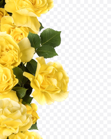Letter I from Yellow roses alphabet on Yellow Images Creative Fonts - S81193
