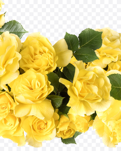 Letter L from Yellow roses alphabet on Yellow Images Creative Fonts - S81196