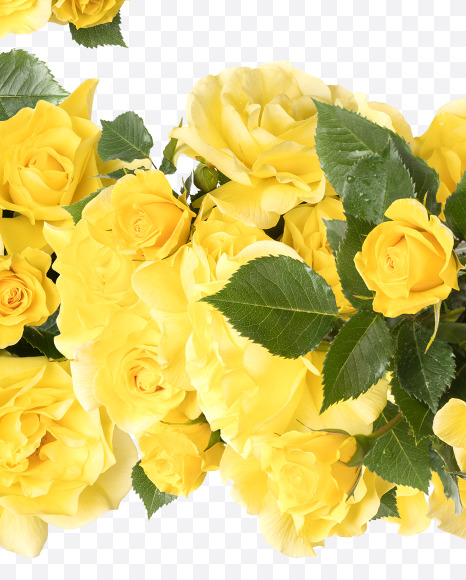 Letter Z from Yellow roses alphabet on Yellow Images Creative Fonts - S81210