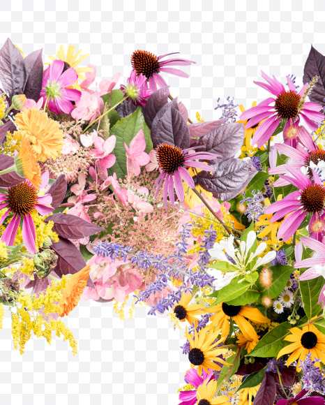 7 from Wild Flowers Alphabet on Yellow Images Creative Fonts - S81375