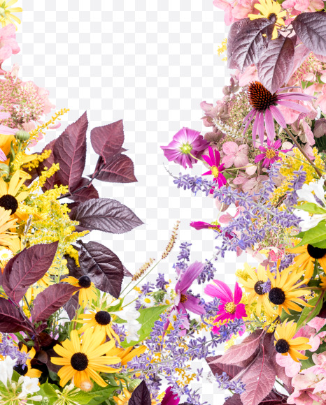 Letter N from Wild Flowers Alphabet on Yellow Images Creative Fonts - S81355