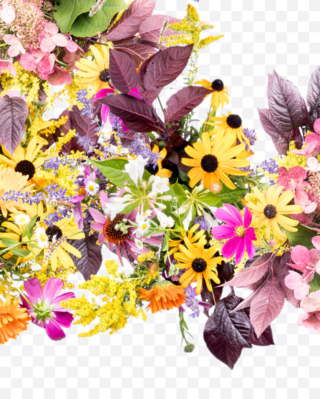 Letter E from Wild Flowers Alphabet on Yellow Images Creative Fonts - S81346