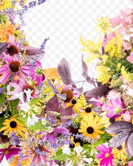 Letter Q from Wild Flowers Alphabet on Yellow Images Creative Fonts - S81358