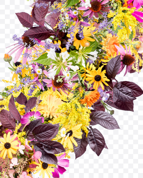 Letter X from Wild Flowers Alphabet on Yellow Images Creative Fonts - S81365