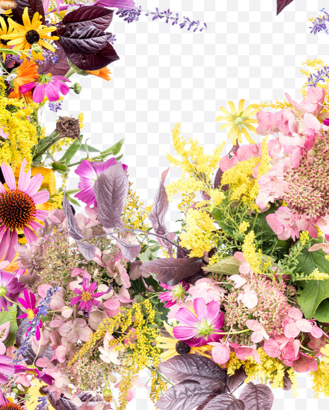 Letter P from Wild Flowers Alphabet on Yellow Images Creative Fonts - S81357