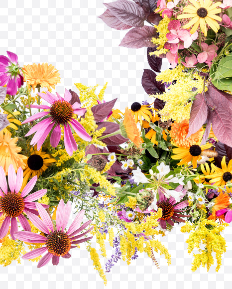 5 from Wild Flowers Alphabet on Yellow Images Creative Fonts - S81373