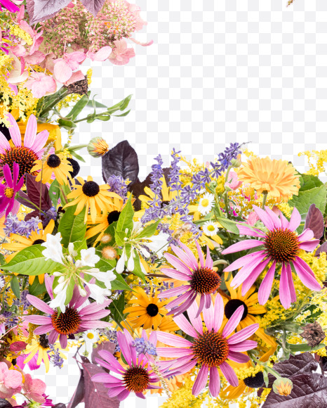 Letter F from Wild Flowers Alphabet on Yellow Images Creative Fonts - S81347