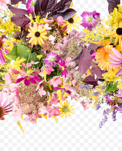 Letter L from Wild Flowers Alphabet on Yellow Images Creative Fonts - S81353