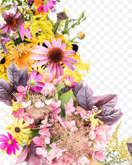 Letter V from Wild Flowers Alphabet on Yellow Images Creative Fonts - S81363