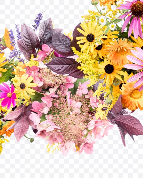 Letter C from Wild Flowers Alphabet on Yellow Images Creative Fonts - S81344