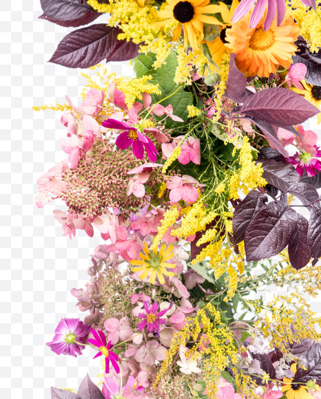 Letter D from Wild Flowers Alphabet on Yellow Images Creative Fonts - S81345