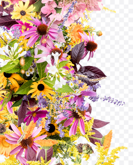 Letter M from Wild Flowers Alphabet on Yellow Images Creative Fonts - S81354