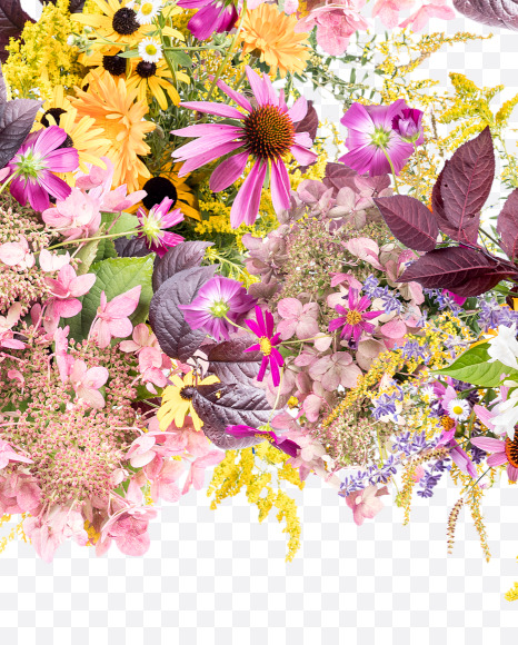 Letter Z from Wild Flowers Alphabet on Yellow Images Creative Fonts - S81367