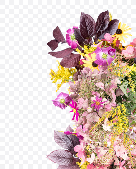 Letter H from Wild Flowers Alphabet on Yellow Images Creative Fonts - S81349