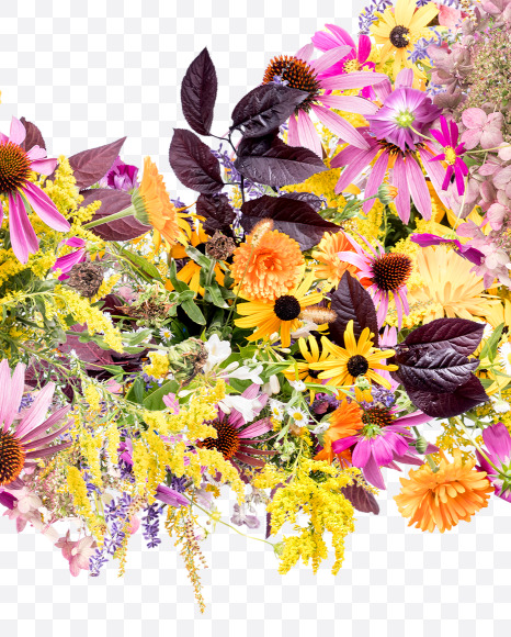 3 from Wild Flowers Alphabet on Yellow Images Creative Fonts - S81371