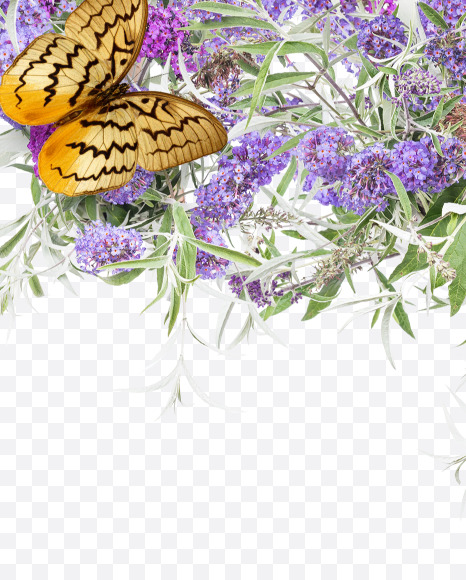 4 from Buddleia flowers alphabet on Yellow Images Creative Fonts - S81409