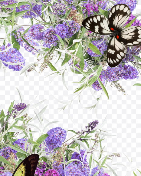 Letter S from Buddleia flowers alphabet on Yellow Images Creative Fonts - S81397