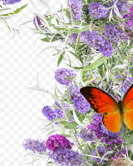 Letter M from Buddleia flowers alphabet on Yellow Images Creative Fonts - S81391