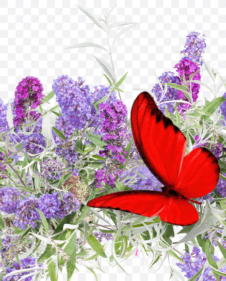 Letter T from Buddleia flowers alphabet on Yellow Images Creative Fonts - S81398