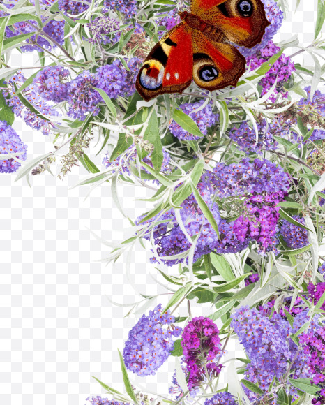 0 from Buddleia flowers alphabet on Yellow Images Creative Fonts - S81405