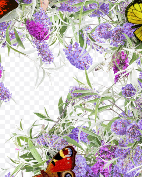 3 from Buddleia flowers alphabet on Yellow Images Creative Fonts - S81408