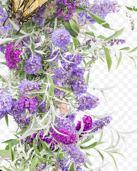 Letter L from Buddleia flowers alphabet on Yellow Images Creative Fonts - S81390