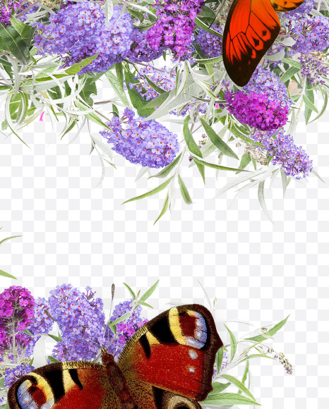 Letter E from Buddleia flowers alphabet on Yellow Images Creative Fonts - S81383