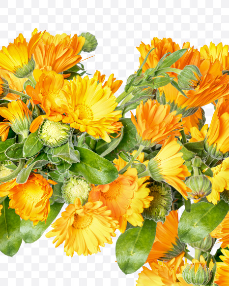 Letter T from Marigold flowers alphabet on Yellow Images Creative Fonts - S81544