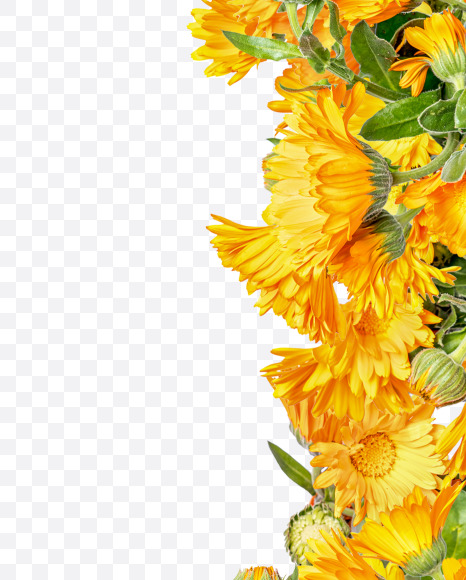 Letter I from Marigold flowers alphabet on Yellow Images Creative Fonts - S81533