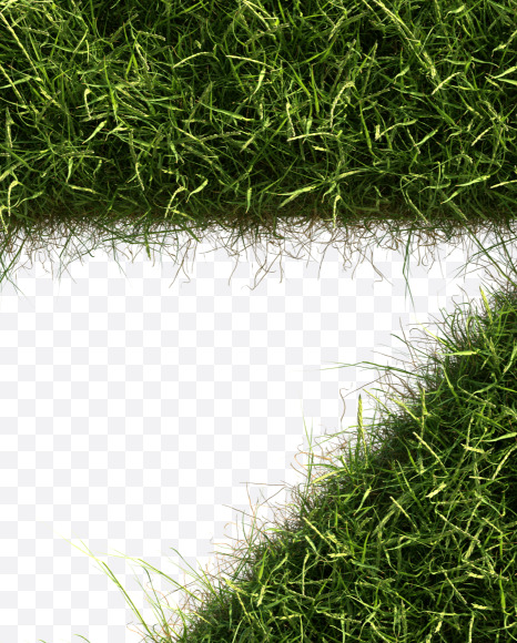 Letter Z from Grass alphabet on Yellow Images Creative Fonts - S81674