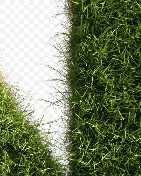 Letter N from Grass alphabet on Yellow Images Creative Fonts - S81662