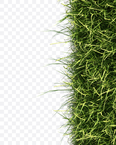 Letter R from Grass alphabet on Yellow Images Creative Fonts - S81666