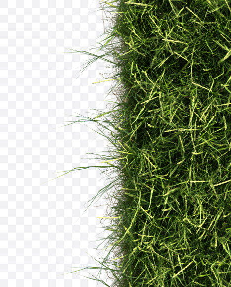 Letter I from Grass alphabet on Yellow Images Creative Fonts - S81657