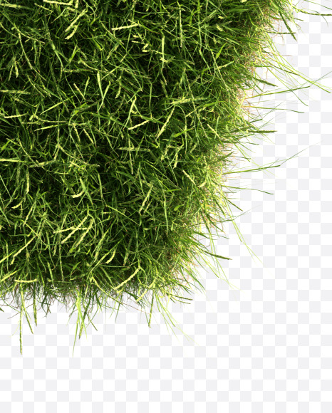 Letter V from Grass alphabet on Yellow Images Creative Fonts - S81670