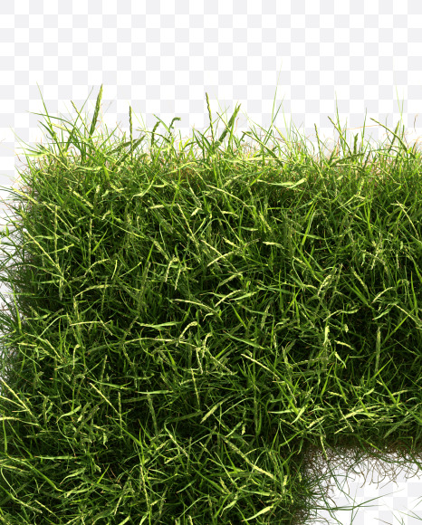 5 from Grass alphabet on Yellow Images Creative Fonts - S81644