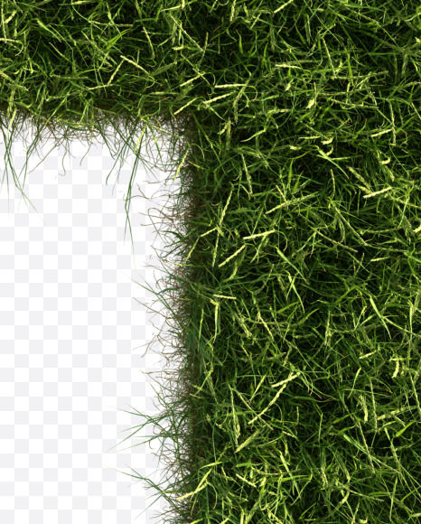 Letter H from Grass alphabet on Yellow Images Creative Fonts - S81656