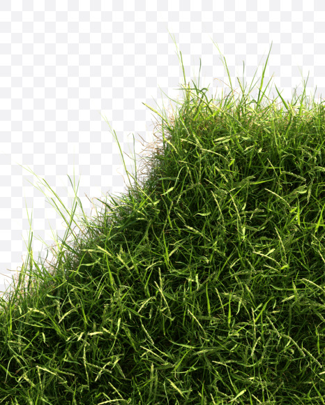 1 from Grass alphabet on Yellow Images Creative Fonts - S81640