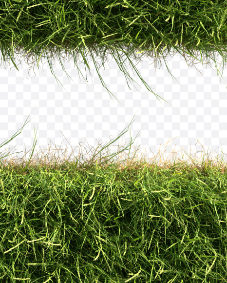 Letter E from Grass alphabet on Yellow Images Creative Fonts - S81653