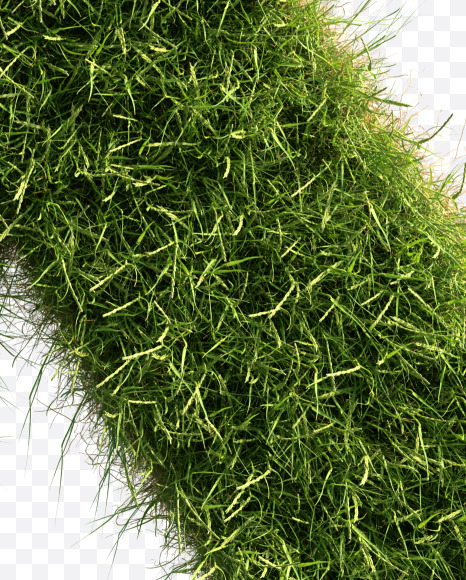 Letter X from Grass alphabet on Yellow Images Creative Fonts - S81672