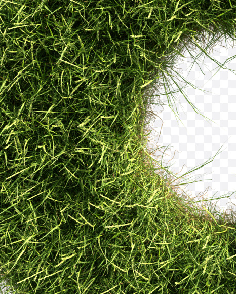 8 from Grass alphabet on Yellow Images Creative Fonts - S81647