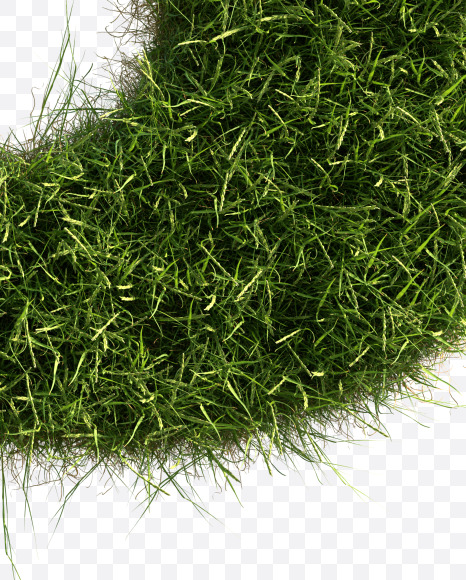 Letter P from Grass alphabet on Yellow Images Creative Fonts - S81664