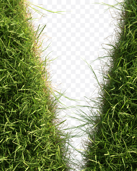 Letter M from Grass alphabet on Yellow Images Creative Fonts - S81661