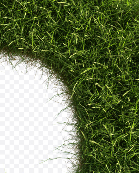 Letter Q from Grass alphabet on Yellow Images Creative Fonts - S81665