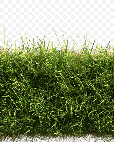 7 from Grass alphabet on Yellow Images Creative Fonts - S81646