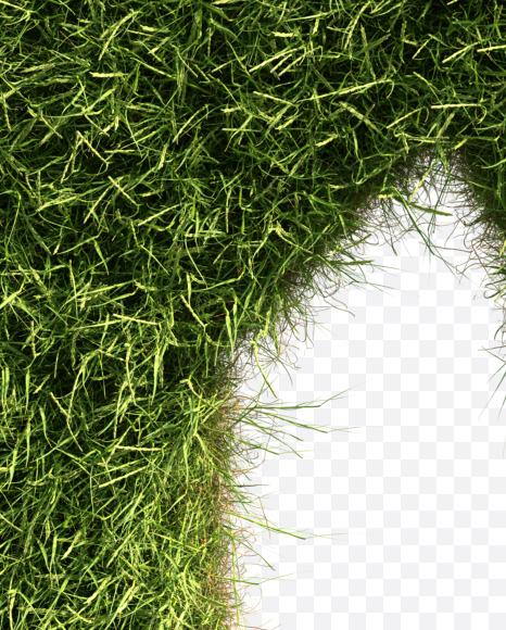 Letter K from Grass alphabet on Yellow Images Creative Fonts - S81659