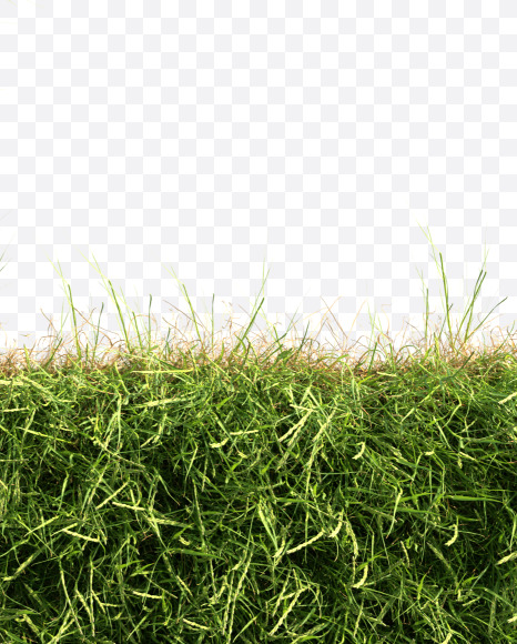 Letter L from Grass alphabet on Yellow Images Creative Fonts - S81660