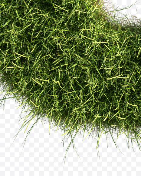 Letter J from Grass alphabet on Yellow Images Creative Fonts - S81658